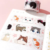 Washi Tape - Meme Cats 1 - 25mm CMYK